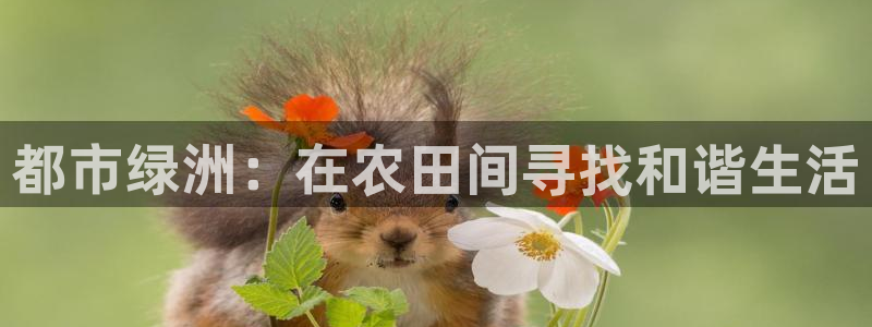 琳琅娱乐工作室怎么样