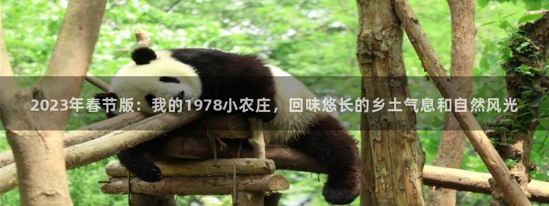 琳琅娱乐平台帐7O777