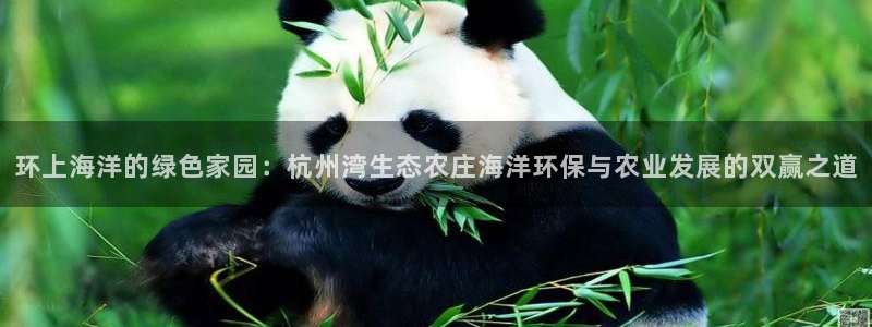 琳琅娱乐平台怎么样