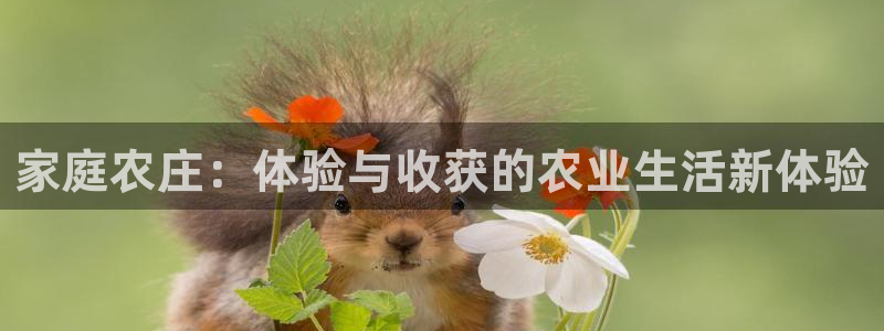 琳琅娱乐工作室怎么样