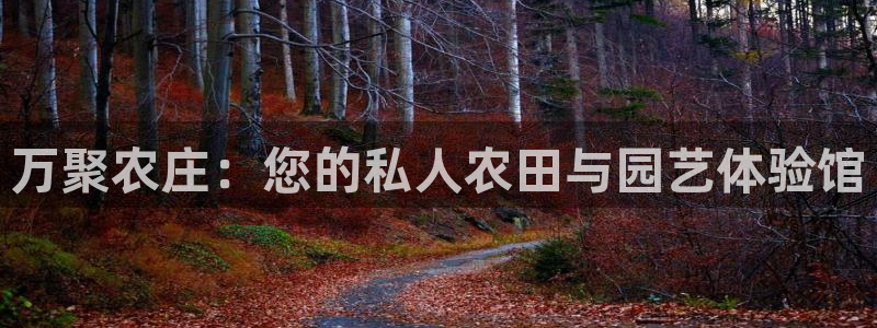 琳琅娱乐注册登录