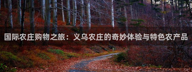 琳琅娱乐平台登陆