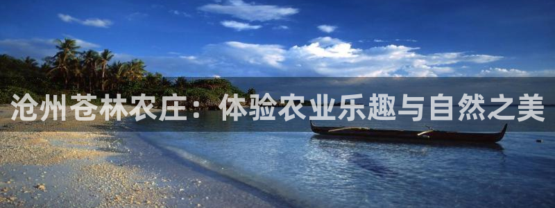 娱乐从琳琅榜开始的小说