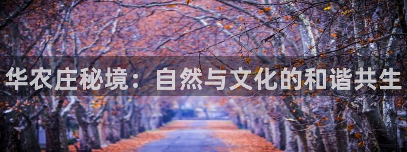 娱乐从琳琅榜开始笔趣阁