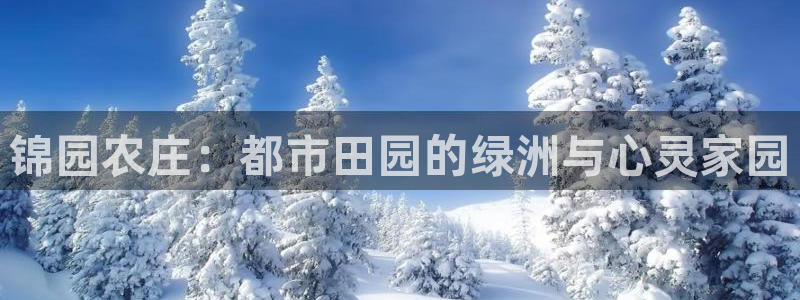 琳琅娱乐在哪直播