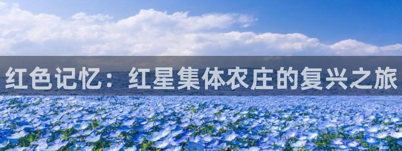 琳琅娱乐在哪直播