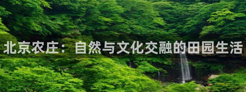 琳琅娱乐怎么样