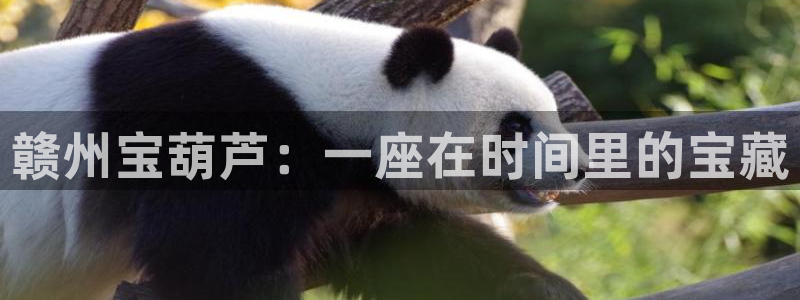 琳琅国际娱乐会所