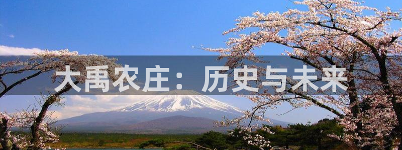 琳琅娱乐平台怎么样可靠吗