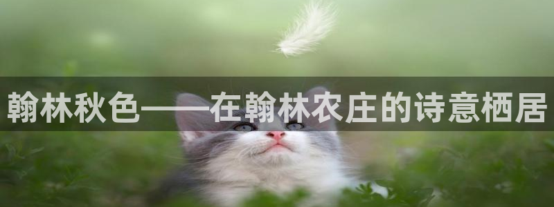 琳琅娱乐工作室地址查询