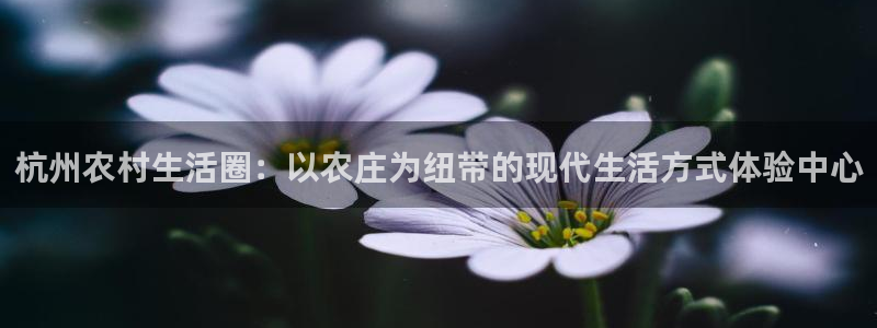 琳琅娱乐平台是真的吗知乎