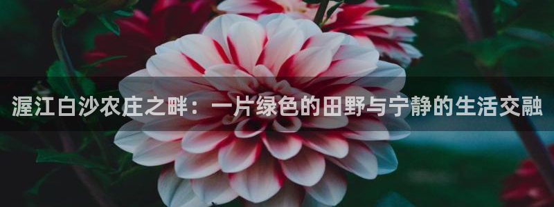 琳琅娱乐周7O777