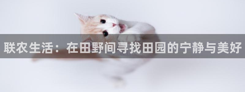 琳琅科技娱乐机器人