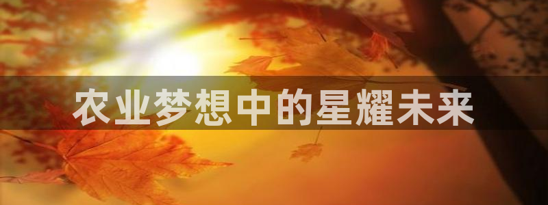 琳琅娱乐组飞车