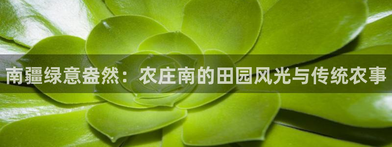 琳琅娱乐组飞车