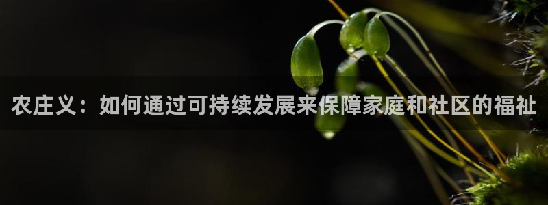 琳琅科技qq娱乐机器人怎么搞