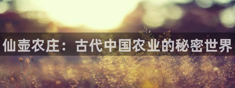 琳琅娱乐在哪直播的