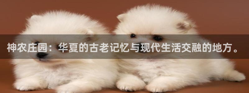 琳琅娱乐工作室招聘