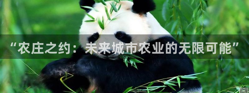 琳琅娱乐平台怎么样