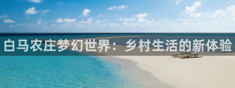 琳琅满目的娱乐设施