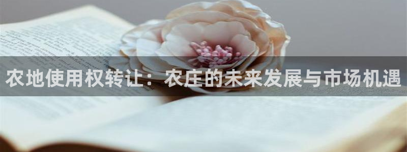 琳琅娱乐免费线上观看