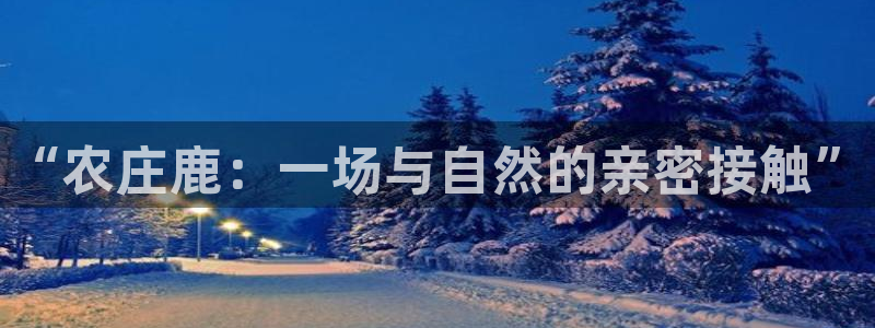 qq飞车琳琅娱乐组