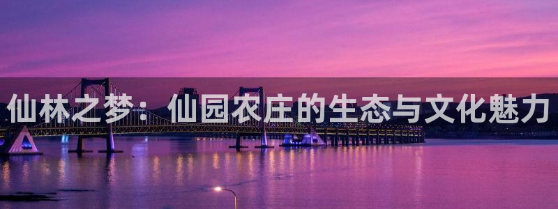 琳琅娱乐在哪直播