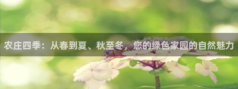 琳琅科技娱乐qq机器人词库