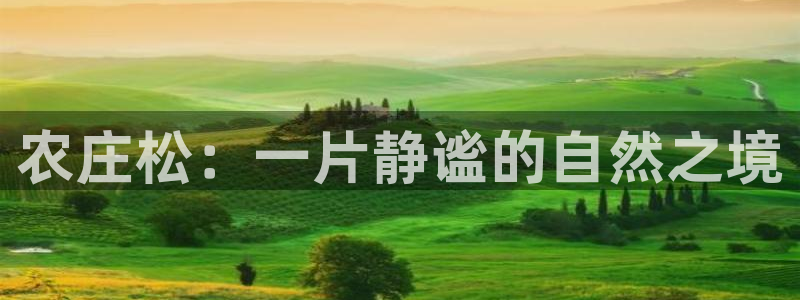 琳琅娱乐在哪直播的