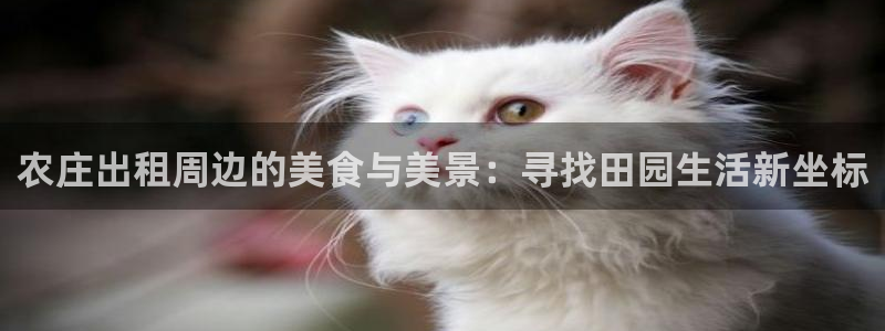 梧州琳琅娱乐城