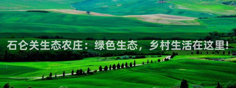 琳琅天上qq飞车娱乐