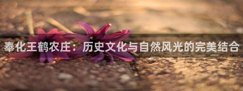 娱乐从琳琅榜开始笔趣阁