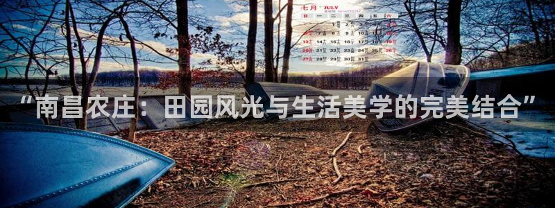 琳琅娱乐机器人