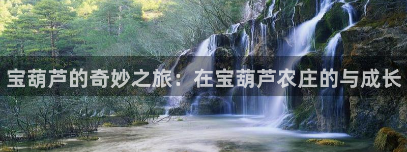 琳琅娱乐放心33300