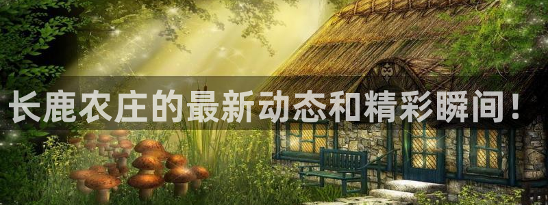 琳琅娱乐招商注册