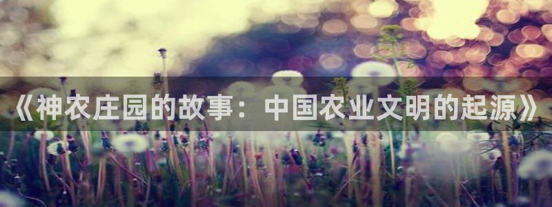 琳琅娱乐天美2