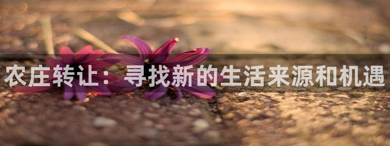 琳琅科技娱乐QQ机器人