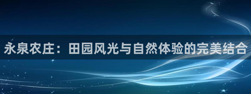 琳琅满目的娱乐设施