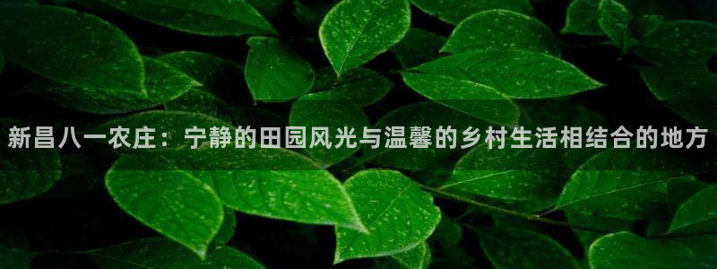 琳琅科技qq娱乐机器人怎么搞