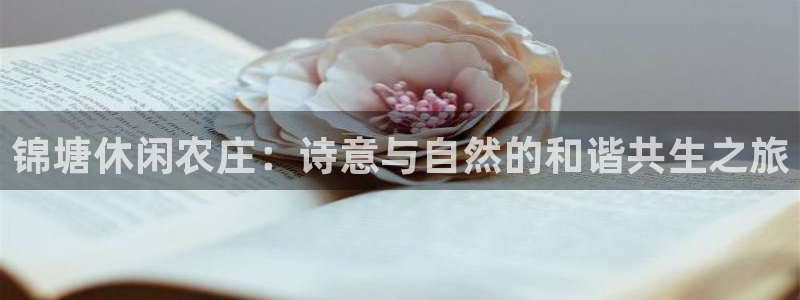 琳琅娱乐总代