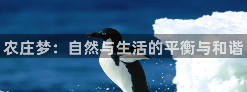 琳琅娱乐注册登录官网