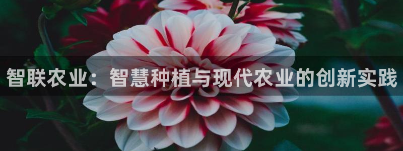 琳琅天上qq飞车娱乐