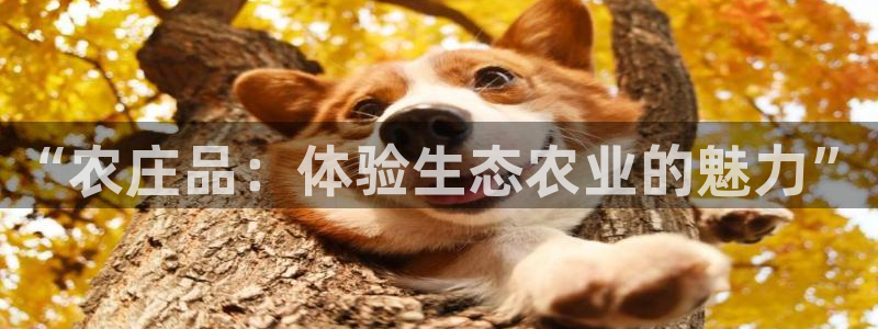 琳琅娱乐场所