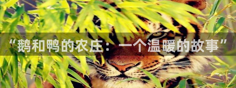 孝感琳琅娱乐会所
