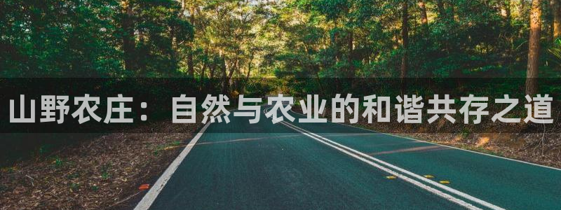 娱乐 从琳琅榜开始