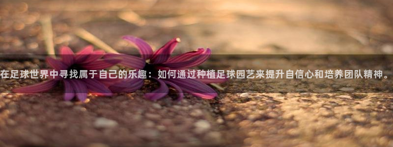 琳琅娱乐招商