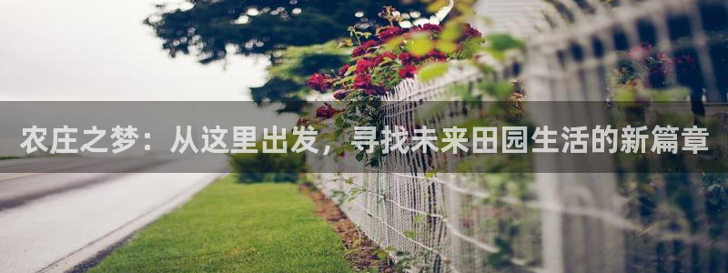 琳琅娱乐八卦