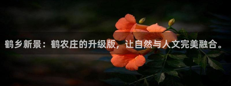 琳琅娱乐机器人