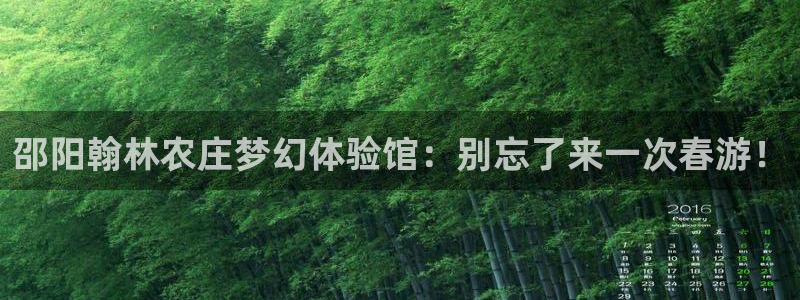 琳琅娱乐a