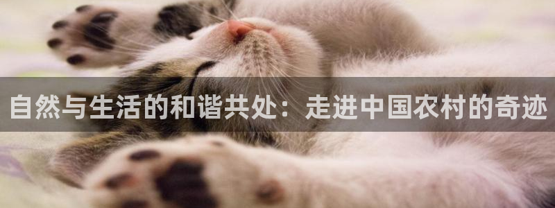 琳琅娱乐周7O777